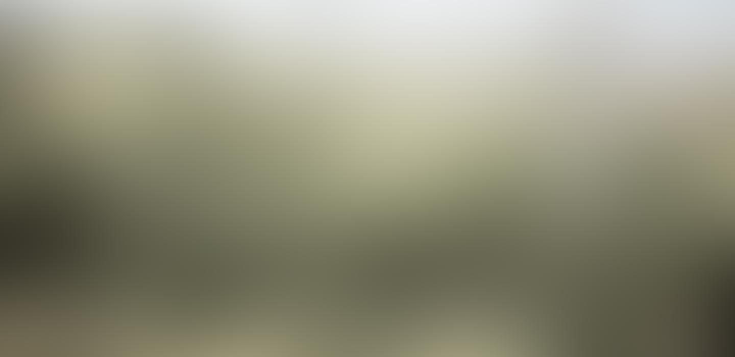 estate-gallery-3